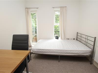 Picture 16